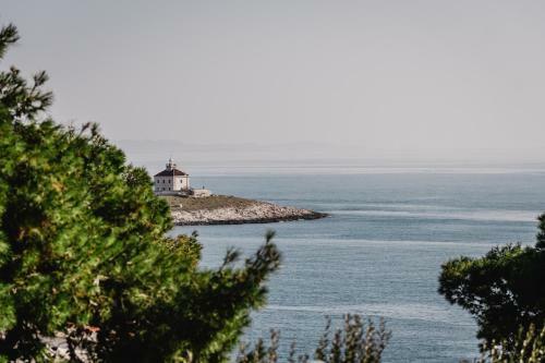 Aurora Apartment & Aurora Room