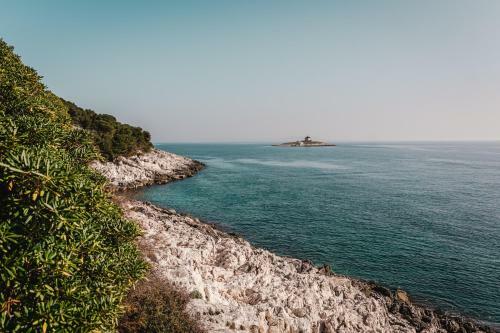 Aurora Apartment & Aurora Room