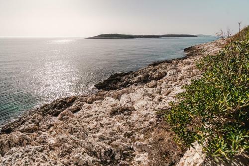 Aurora Apartment & Aurora Room