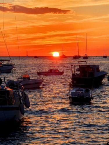 Aurora Apartment & Aurora Room