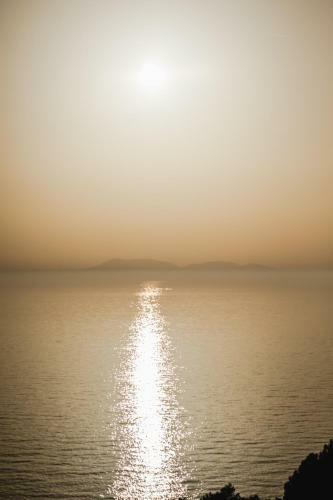 Aurora Apartment & Aurora Room