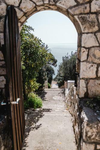 Aurora Apartment & Aurora Room