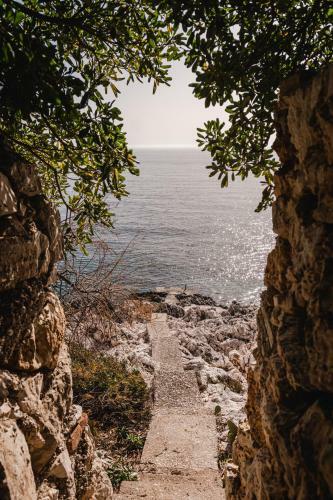 Aurora Apartment & Aurora Room