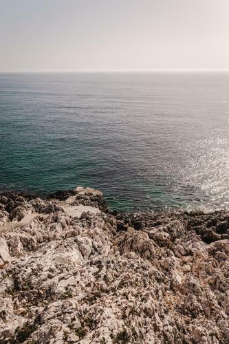 Aurora Apartment & Aurora Room