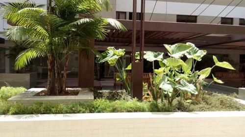 Apartamento Macei� Facilities Temporada Na Ponta Verde