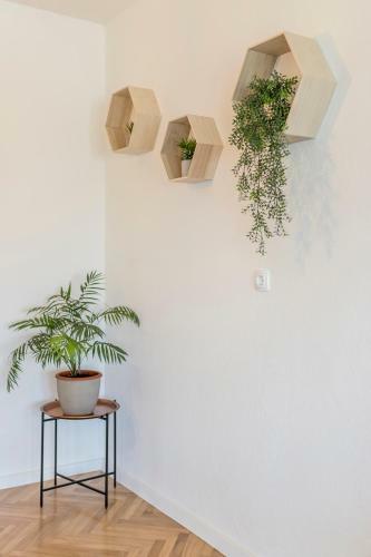 Apartamento Shades Of Green