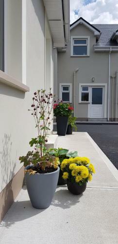 Mountain View Bed & Breakfast, Kenmare, Co. Kerry, Ireland