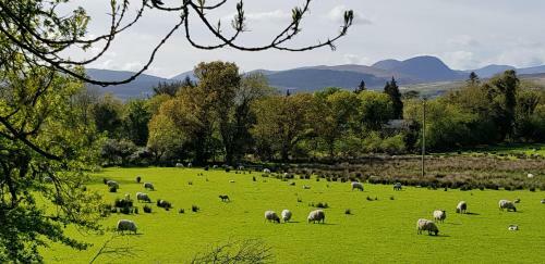 Mountain View Bed & Breakfast, Kenmare, Co. Kerry, Ireland