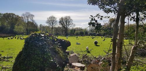 Mountain View Bed & Breakfast, Kenmare, Co. Kerry, Ireland