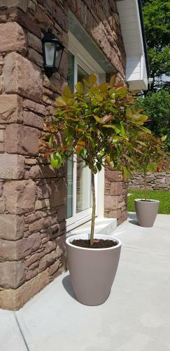 Mountain View Bed & Breakfast, Kenmare, Co. Kerry, Ireland