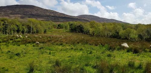 Mountain View Bed & Breakfast, Kenmare, Co. Kerry, Ireland