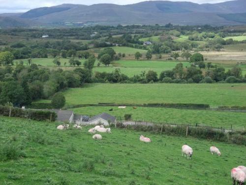 Bed & Breakfast White Heather Farmhouse