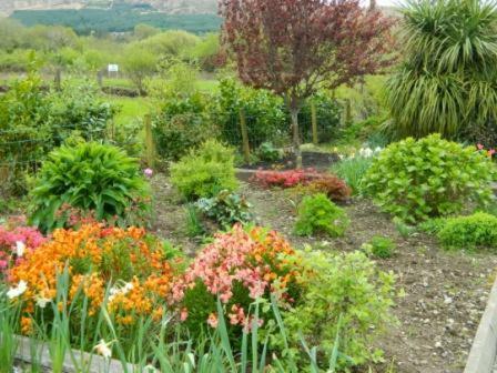 Apartamento Poppyfield, Cappamore