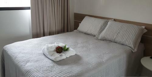 Apartamento Apto Estrela Do Mar