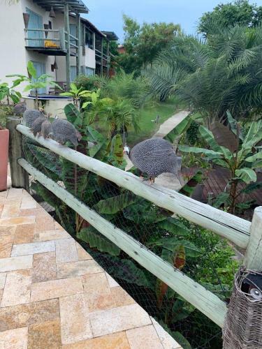 Villas Do Pratagy Cocobambu