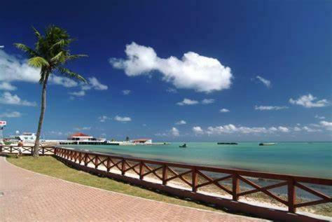 Apartamento Edf Time - Conforto E Sofistica��o