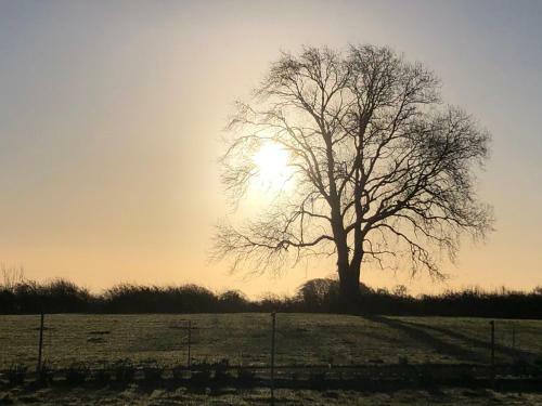 Knockreagh Farm Cottages, Callan, Kilkenny