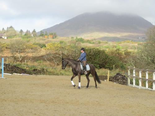Villa Letterfrack Mountain Farm Cottage