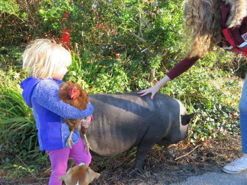 Villa Letterfrack Mountain Farm Cottage