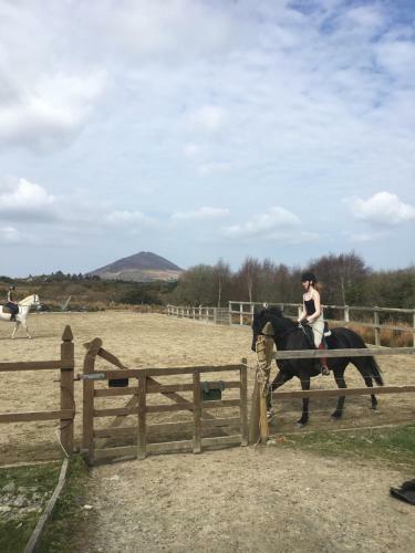 Villa Letterfrack Mountain Farm Cottage