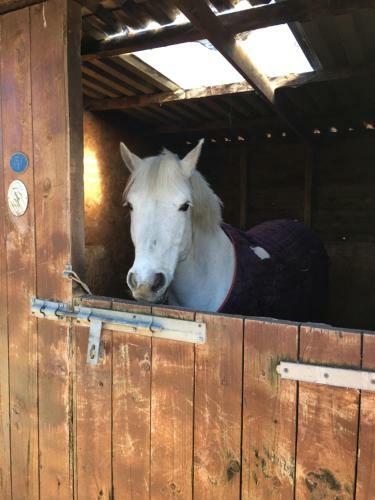 Villa Letterfrack Mountain Farm Cottage