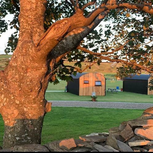 Apartamento Castledarcy Glamping