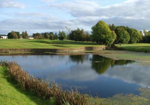 346 The Lodges Ballykisteen