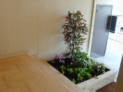 Apartamentos Loc17 Saint-palais