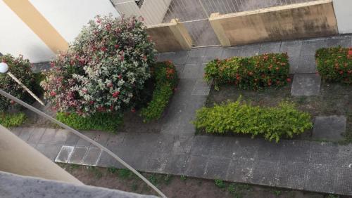 Apartamento Na Ponta Verde - Macei�
