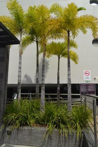 Apartamento Ed Time Apto 1305 Ponta Verde Maceio