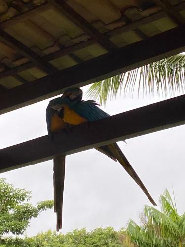 Bela Casa De Campo