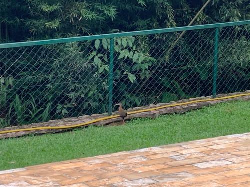 Posada Pousada S�tio Sossego