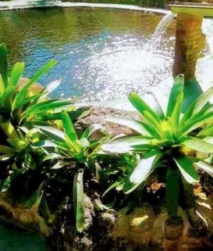 Casa Asa Delta Nova Friburgo Com Lareira E Jacuzzi