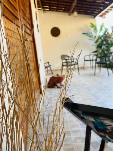 Vila Almirante - Casa Azul Marinho