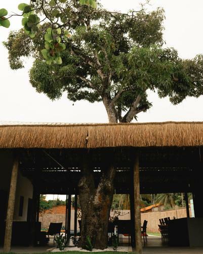 Hostal Tapiri Pousada - Rota Ecol�gica Dos Milagres