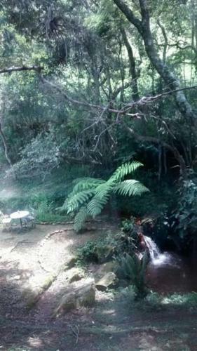 Chal� No Bosque E Cachoeirinha, Centro De Passa Quatro