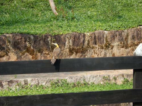 Casa Gourmet Na Fazenda Com Jacuzzi E Churrasqueira