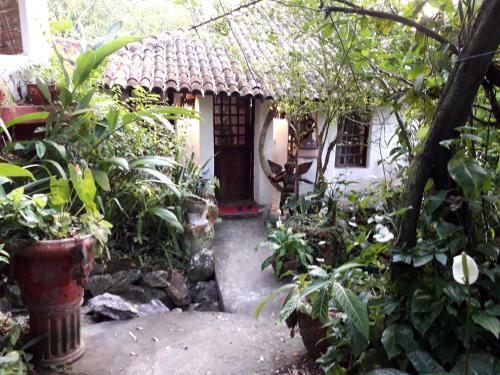 Cultura Mix Guest House