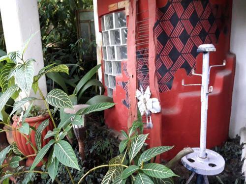 Cultura Mix Guest House