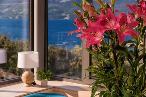 Beautiful Villa Alhena & Aurora