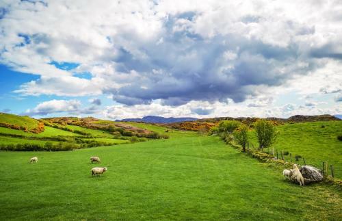 Holiday Cottages Portsalon