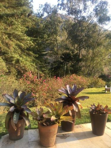 Nosso S�tio - Rancho Santa Clara Itaipava