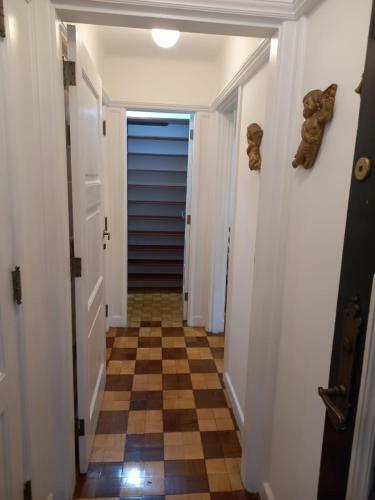 Apartamento Pal�cio Quitandinha Lindo E Aconchegante Loft