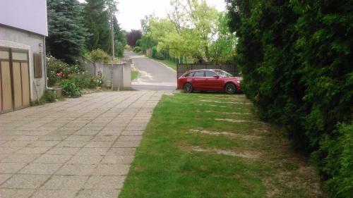 R�ski Vend�gh�z