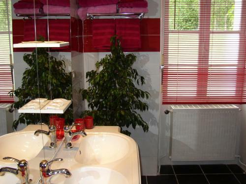 Bed & Breakfast Le Jardin Des Cygnes