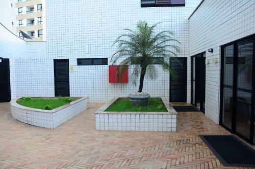 Hotel Natal Plaza Requinte, Conforto E Vista Para O Mar