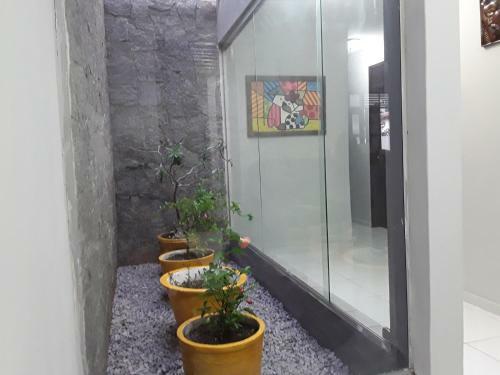 Hostel Flor Do Caribe