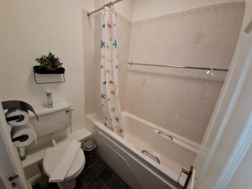 Lovely And Bright 1-bedroom Apartment In Dublin 1