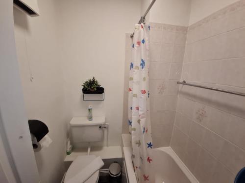 Lovely And Bright 1-bedroom Apartment In Dublin 1