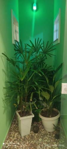 Casa Geminada 1 Fam�lia Leske